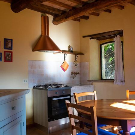 Agriturismo Colli Di Travale Montieri Экстерьер фото
