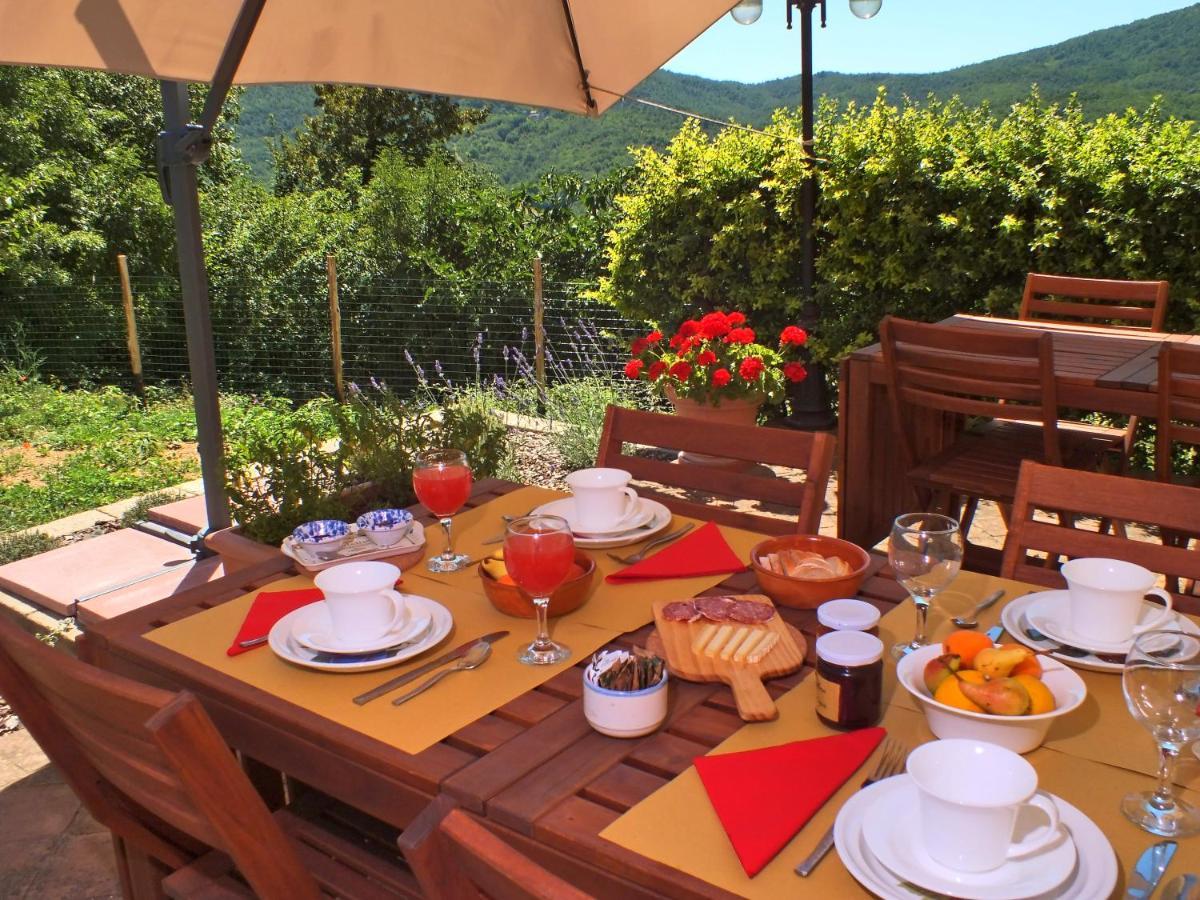 Agriturismo Colli Di Travale Montieri Экстерьер фото