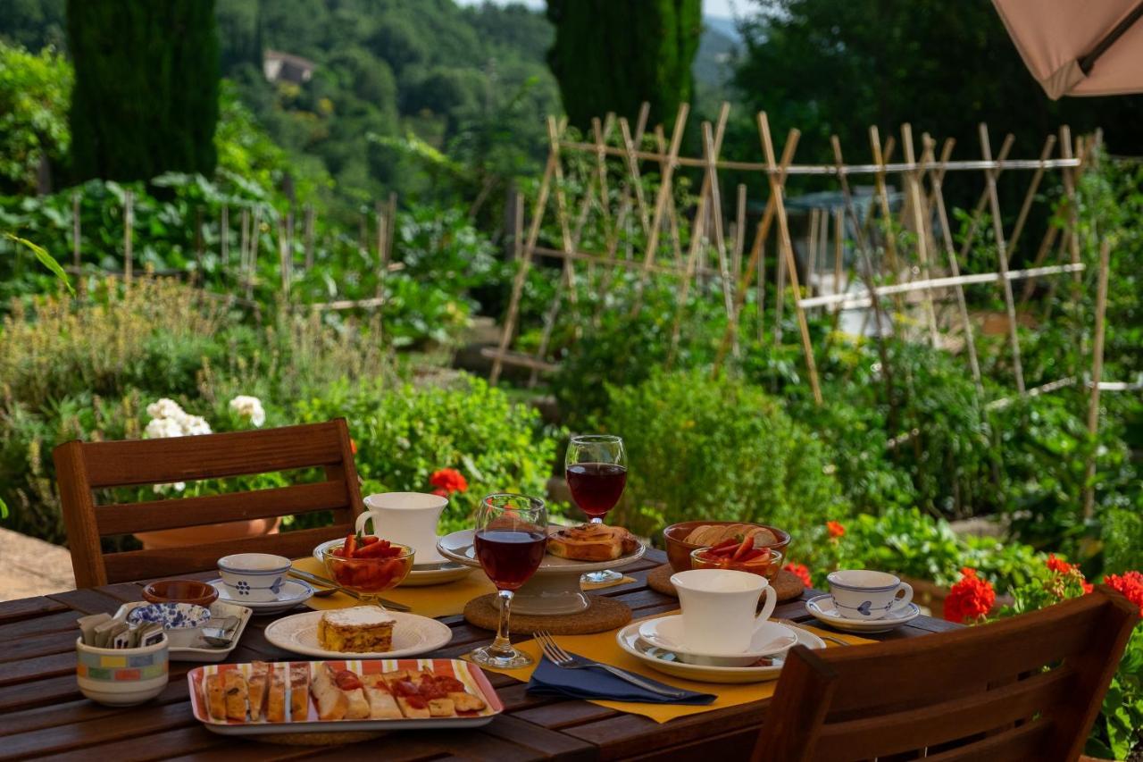 Agriturismo Colli Di Travale Montieri Экстерьер фото